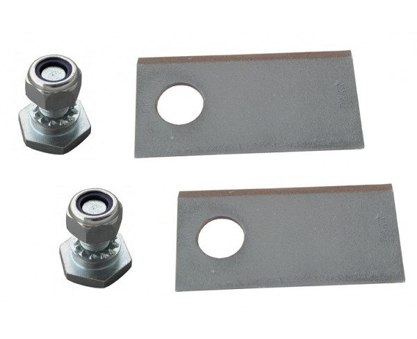 Set of 2 blades and 2 bolts for 4-blade discs